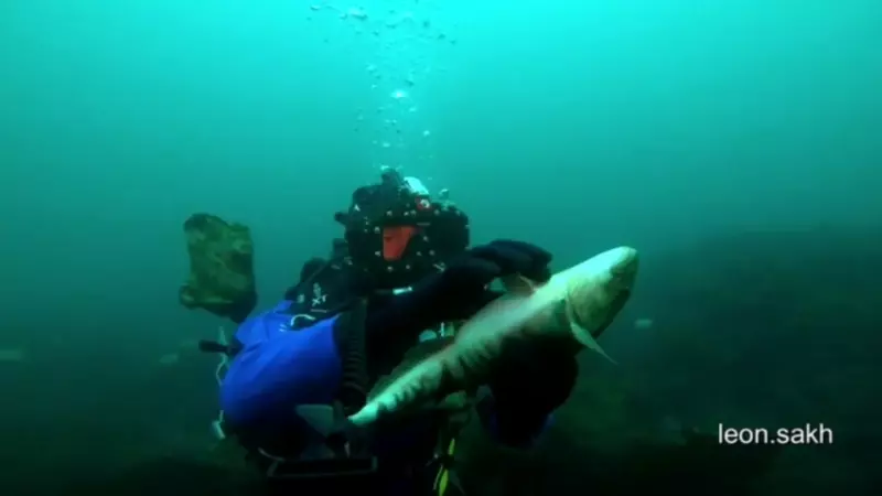 «А рыбам снятся сны?»: спящее существо заснял дайвер на Сахалине