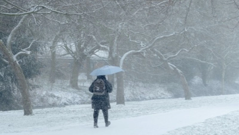 В администрации Южно-Сахалинска рассказали о дорожной обстановке в связи с циклоном