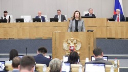 В Госдуме сообщили о разработке механизма прекращения гражданства РФ