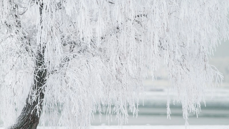 Занятия в школах Ноглик с 16 по 18 января проведут дистанционно из-за морозов