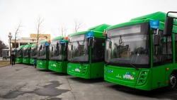 Новые современные автобусы марки МАЗ представили жителям Южно-Сахалинска 