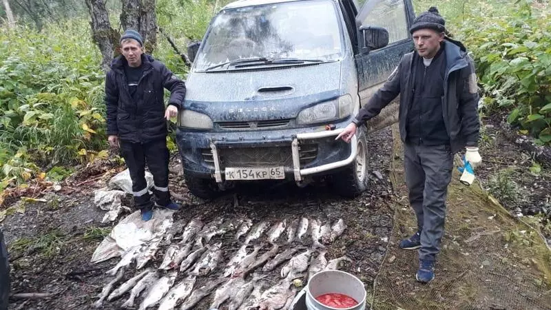 Рыбаки в Ногликском районе добыли из самок горбуши 10 килограммов икры, а самцами закидали берег