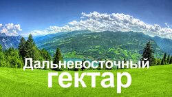 Большинство заявлений на «дальневосточный гектар» поступает из Сахалинской области и Якутии