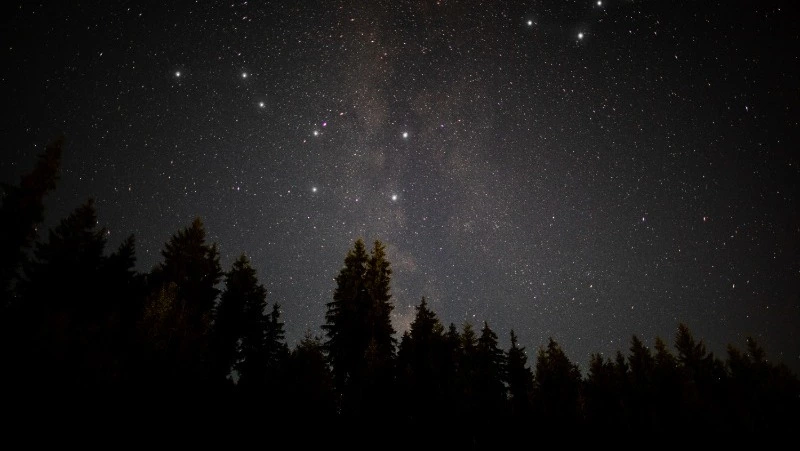 Гороскоп на неделю с 9 по 15 декабря 2024 года: советы звезд для всех знаков зодиака