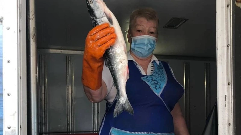 Купить дешевую горбушу могут жители Корсакова