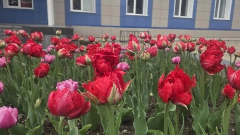 Новый день встретит жителей Южно-Сахалинска теплом и тучами 4 июня