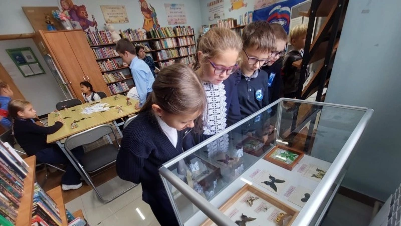 Выставку редких бабочек открыли в Курильском музее