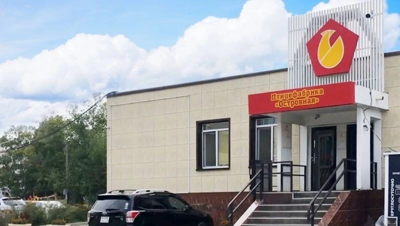 Экс-глава птицефабрики «Островная» ответит в суде за птичий грипп и халатность