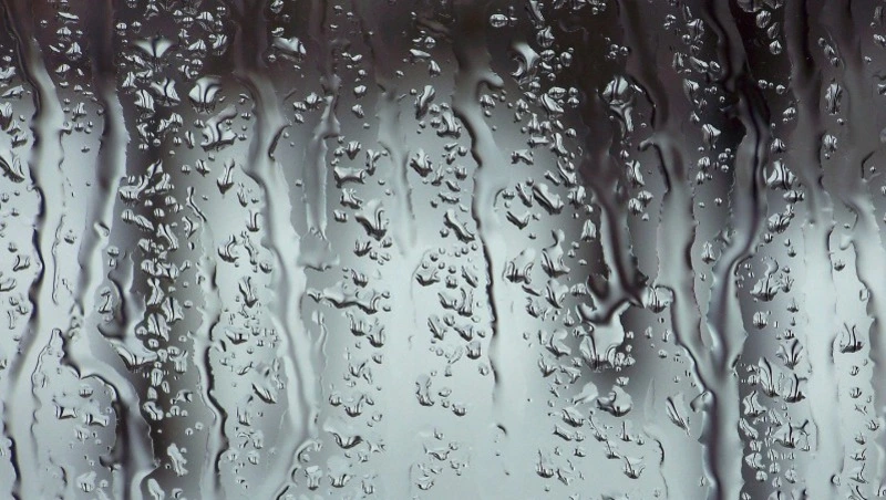 Погода в Южно-Сахалинске 6 ноября: пасмурно и дождь со снегом