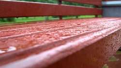 Последняя майская неделя на Сахалине завершится дождями