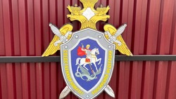 Глава СК России взял на контроль дело о нападении собаки на ребенка на Сахалине