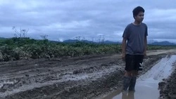 Жители Новой Деревни устали от грязи и пыли под окнами