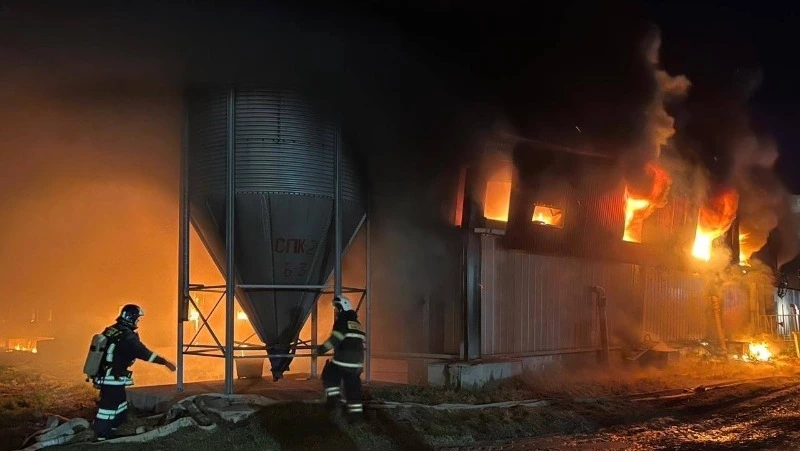 Прокуратура начала проверку по факту пожара в свинокомплексе на Сахалине