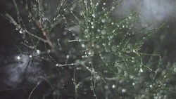 Тепло и дождливо будет в Южно-Сахалинске 30 марта