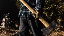 Суд назначил экс-главе Восточного лесного хозяйства условный срок за вырубку лесов