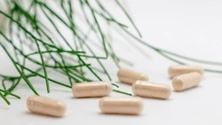 Правительство РФ не поддержало запрет на ввоз БАДов из недружественных стран