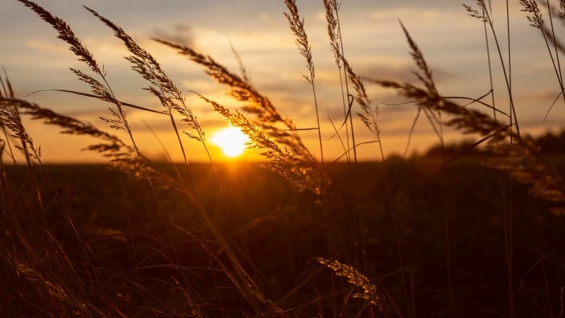 Церковный праздник 12 июля 2024: что нельзя делать в этот день, приметы