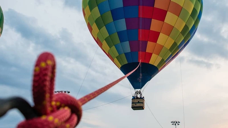 Пассажиры воздушного шара на Сахалине добирались домой по следам медведей