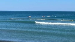 Сахалинская область занимает третье место по объему вылова лососевых на Дальнем Востоке