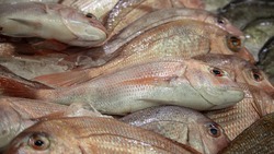 Сахалинский рыбохозяйственный совет подвел итоги путины. С ними согласны не все