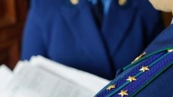 Жительницу Смирныховского района признали виновной в неуплате алиментов