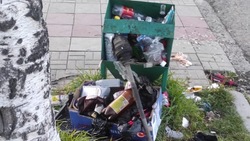 Горы мусора в центре города возмутили жителей Александровска-Сахалинского