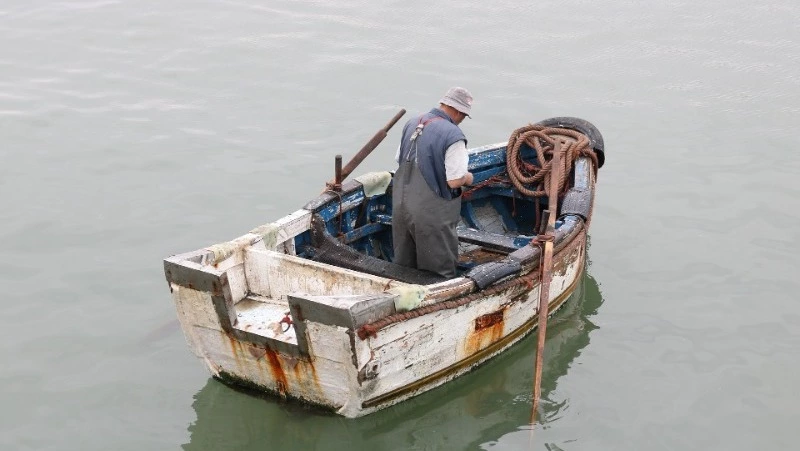 Сахалинцы съездили на рыбалку и теперь могут сесть в тюрьму