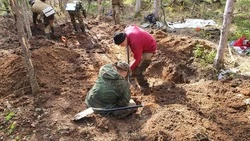 На Сахалине нашли останки бойца Красной армии