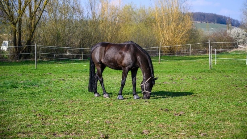 Церковный праздник 25 марта 2025: что нельзя делать в этот день, приметы