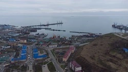 Сергей Шишкарев: экспортный потенциал порта Корсаков будет только увеличиваться 