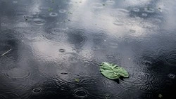 Дождь и сильный ветер придут на Курилы днем 23 мая: самый точный прогноз погоды