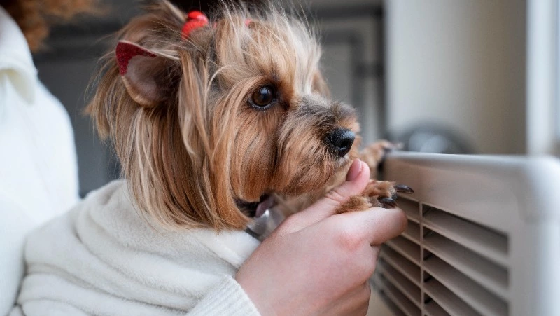 Сотни жителей Южно-Сахалинска остались без отопления и горячей воды 17 декабря 