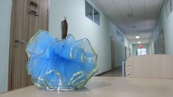 В России утвердили новое расписание ЕГЭ с возможностью пересдачи одного предмета