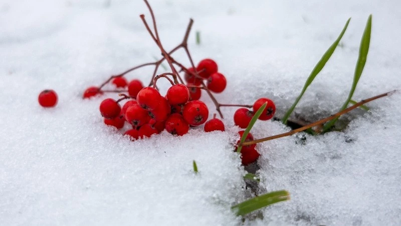 В Южно-Сахалинске 26 марта потеплеет до +8 градусов