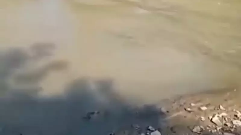 Рыбная река цветом глины перепугала жителей Сахалина