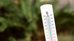 Весеннее тепло установится на Сахалине после 10 марта