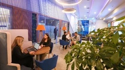 ВТБ: почти 70% дальневосточников верят в эффективность самозапретов для защиты от мошенников