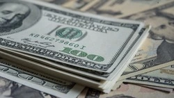 Банк России понизил курсы доллара и евро после скачка 