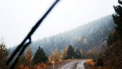 Снегопад, дождь, туман: прогноз погоды на Сахалине и Курилах в понедельник