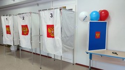 Явка избирателей по итогам второго дня президентских выборов на Сахалине составила 64,84%