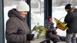 Жительницам Южно-Сахалинска подарили ветки мимозы в честь 8 Марта