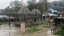 Зоопарк Южно-Сахалинска закрыли из-за циклона 6 октября