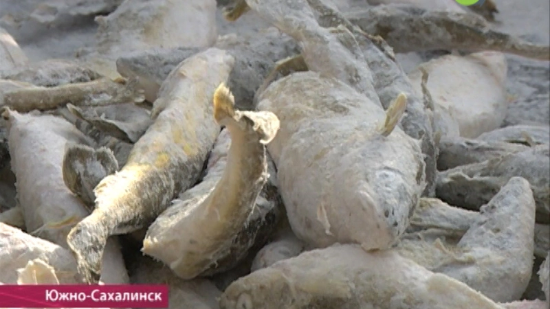 Дешевой наваге - зеленая улица