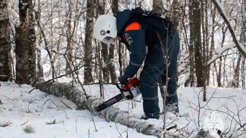 День спасателя 2024: история, традиции и важность профессии
