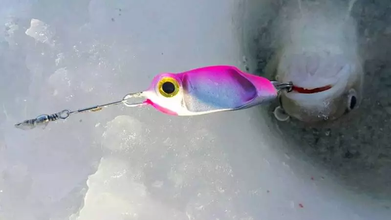 Провокация зубаря