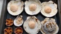 Рецепт сахалинского гребешка под сыром раскрыли в видео блогера Marni Flute