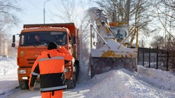 Больше 250 единиц техники задействуют в уборке снега в Южно-Сахалинске
