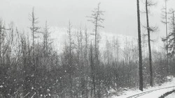 Ураганный ветер и метель накроют Северные Курилы 10 января