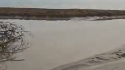В болото с мазутом превратилась река в Углегорском районе