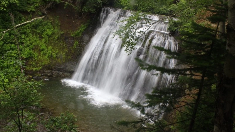 Специалисты с Сахалина оцифруют туристические маршруты в десяти регионах России
